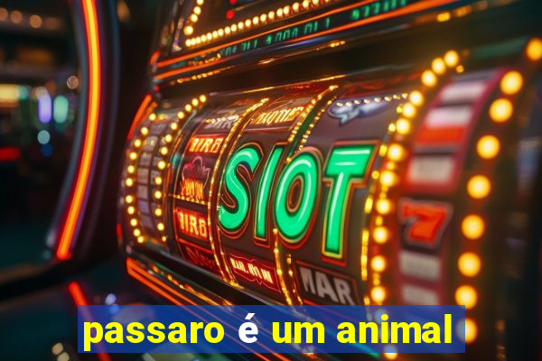 passaro é um animal