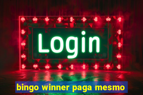 bingo winner paga mesmo