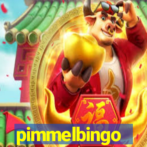 pimmelbingo