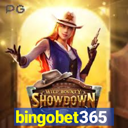 bingobet365