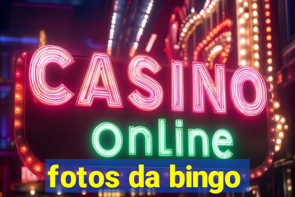 fotos da bingo