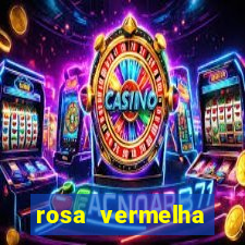 rosa vermelha (letra e cifra)