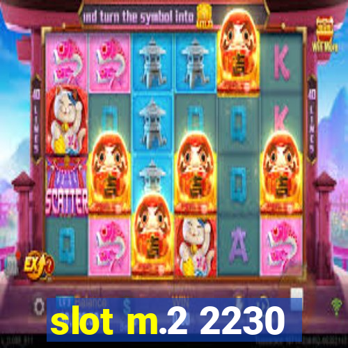 slot m.2 2230