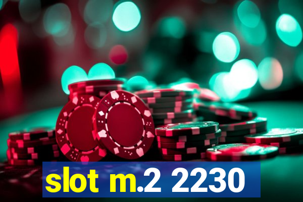 slot m.2 2230