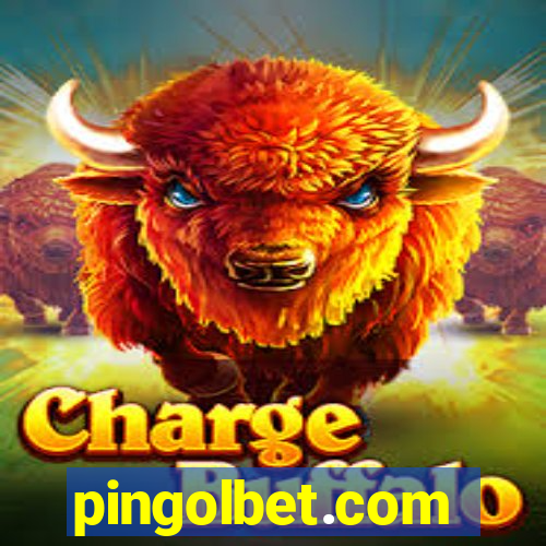 pingolbet.com