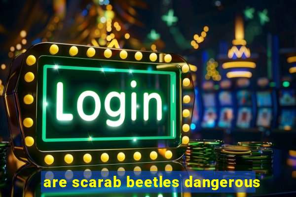 are scarab beetles dangerous