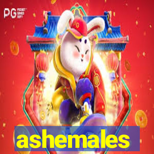 ashemales