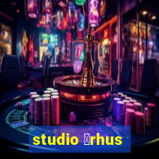 studio 氓rhus