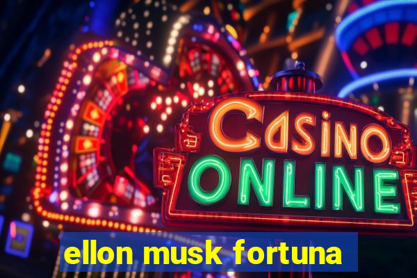 ellon musk fortuna