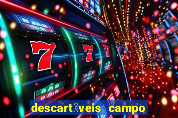 descart谩veis campo grande rj