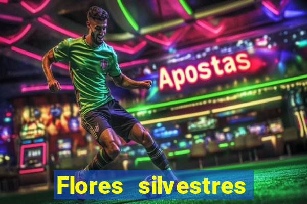 Flores silvestres brasileiras 25