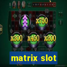 matrix slot