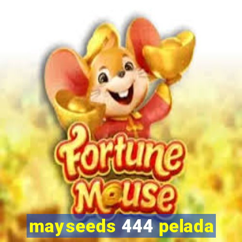 mayseeds 444 pelada