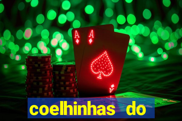 coelhinhas do brasil site