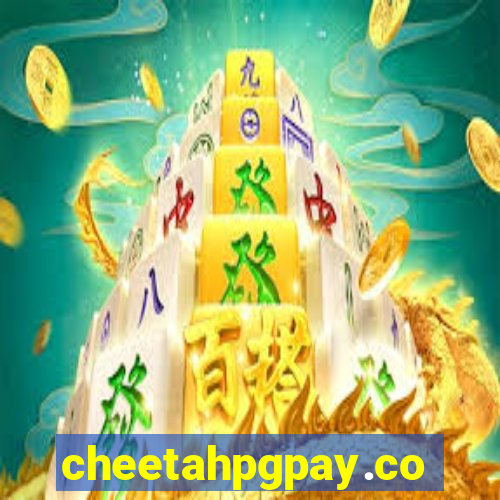 cheetahpgpay.com