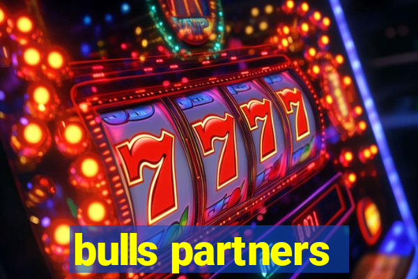 bulls partners