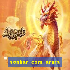 sonhar com arara jogo do bicho