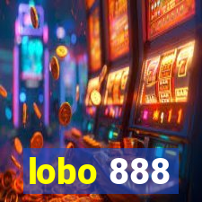 lobo 888