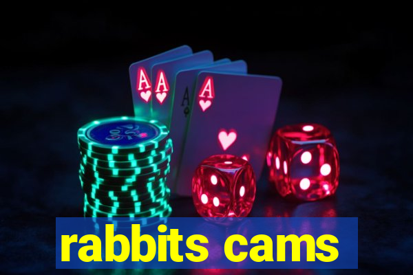 rabbits cams