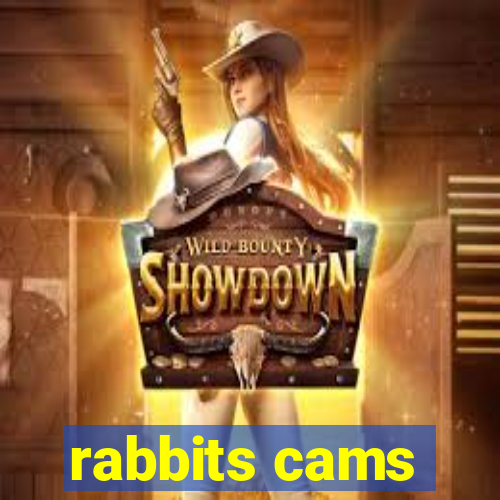 rabbits cams