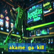 akame ga kill chelsea hentai