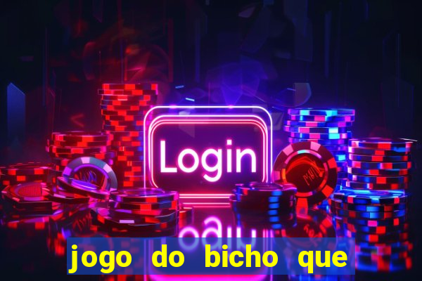 jogo do bicho que paga no pix