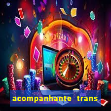 acompanhante trans baixada fluminense