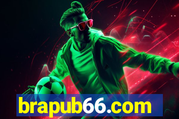 brapub66.com