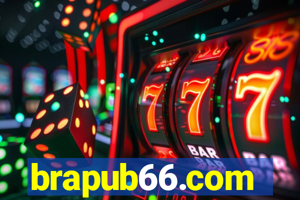 brapub66.com