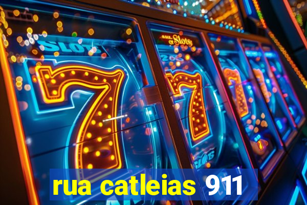 rua catleias 911