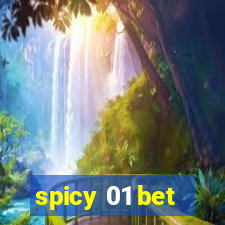 spicy 01 bet