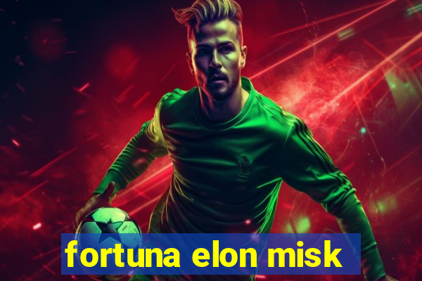 fortuna elon misk