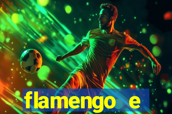 flamengo e palmeiras palpite