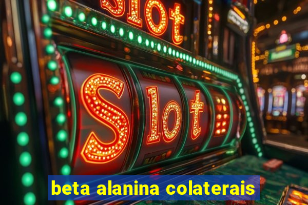 beta alanina colaterais