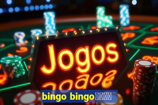 bingo bingo線上投注