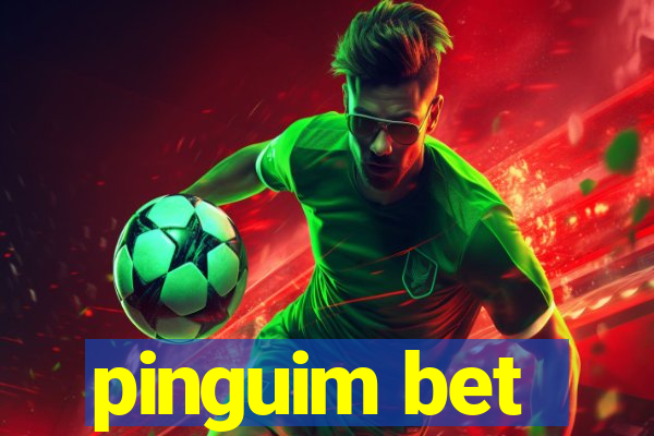 pinguim bet