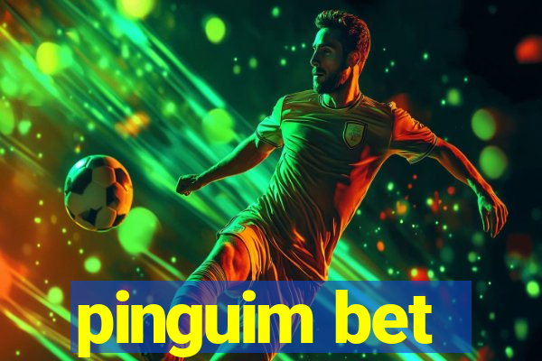 pinguim bet