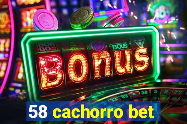 58 cachorro bet