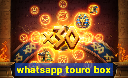 whatsapp touro box