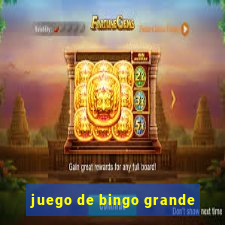 juego de bingo grande