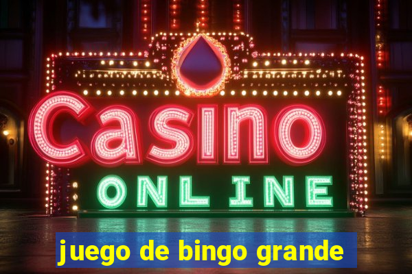 juego de bingo grande