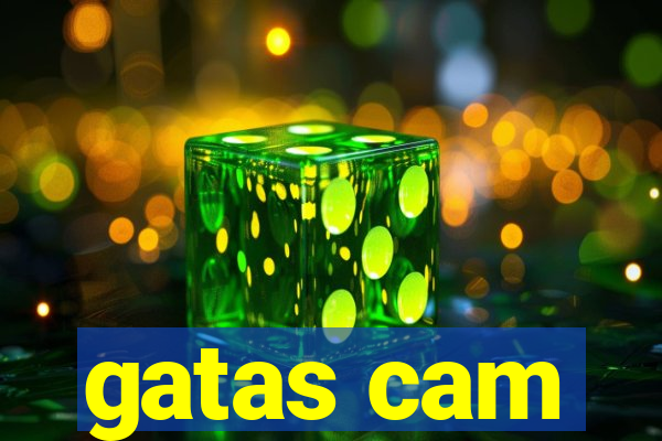 gatas cam