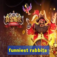 funniest rabbits