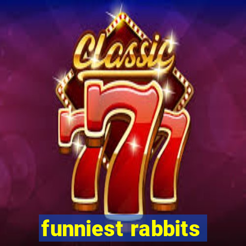 funniest rabbits