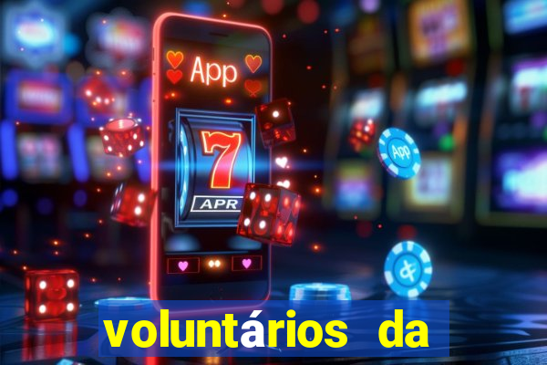 voluntários da pátria 344