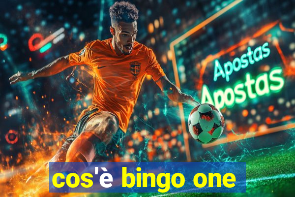 cos'è bingo one