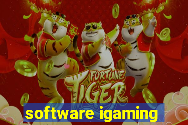 software igaming