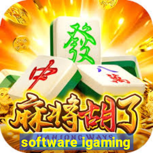 software igaming