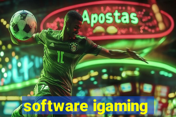 software igaming