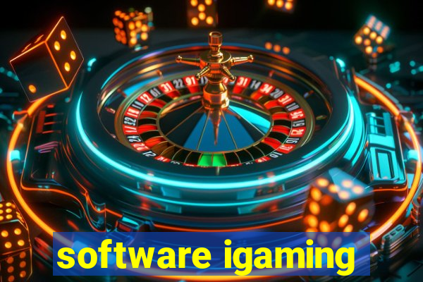 software igaming